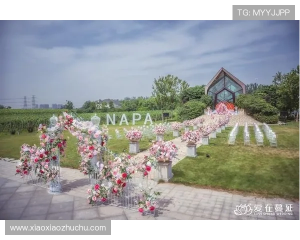 教你轻松解决ag亚官游登录线路问题,提供多种快速稳定的登录解决方案和技巧