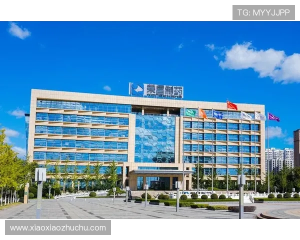 凯发天生赢家:开启属于你的财富之门,成就非凡人生的最佳选择