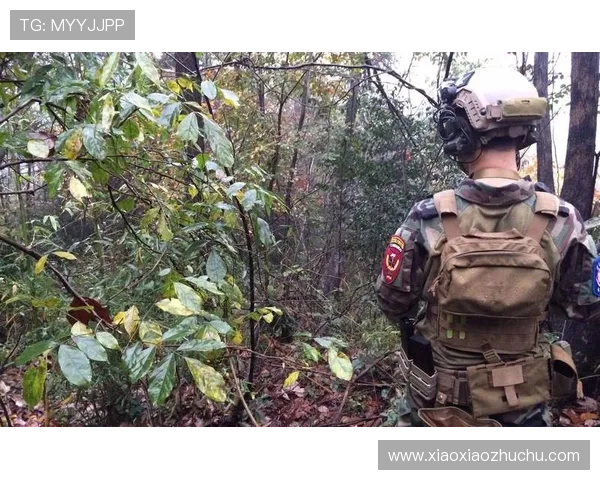 如何快速找到PA真人网页版入口,确保安全稳定的游戏环境 如何快速找到PA真人网页版入口,确保安全稳定的游戏环境