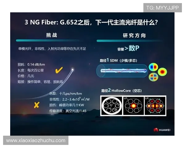 足球ag官网：探讨在线博彩平台的未来发展趋势与挑战